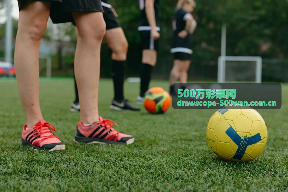 排列五开奖数据案例